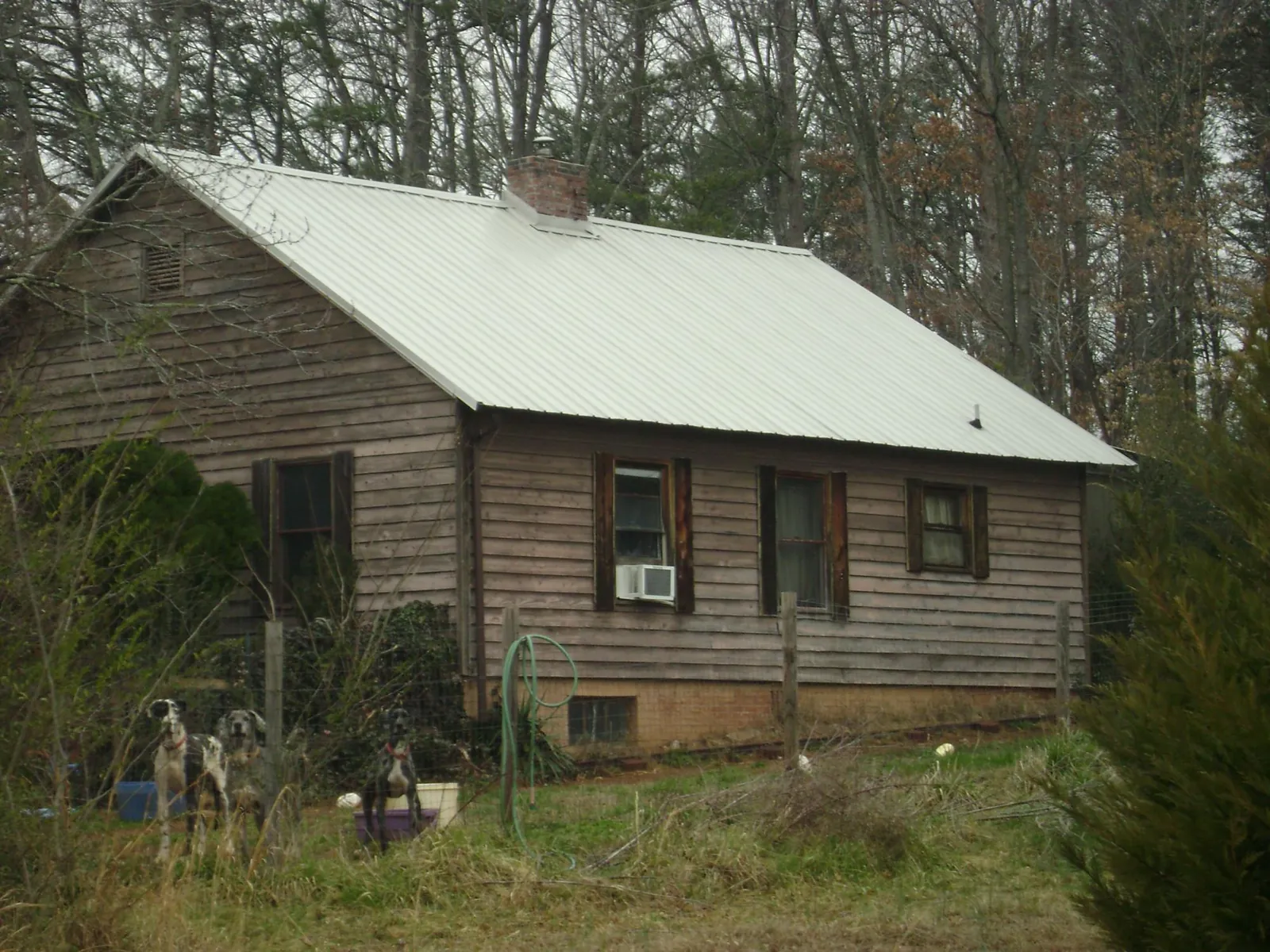 White metal roof on an old wood sided farmhouse, from a Asphalt Shingle Roof Repair job in Allen Park